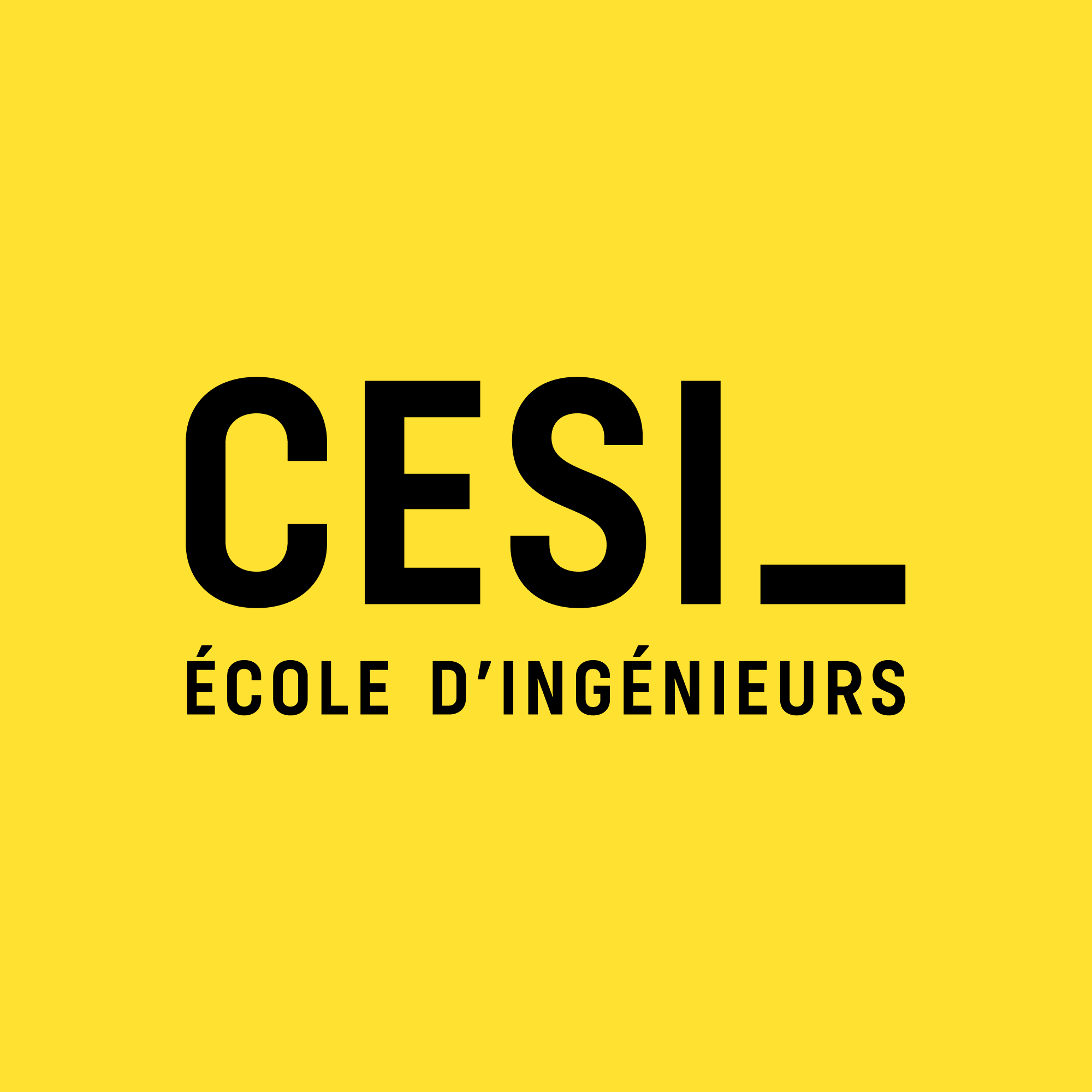 CESI Engineering School